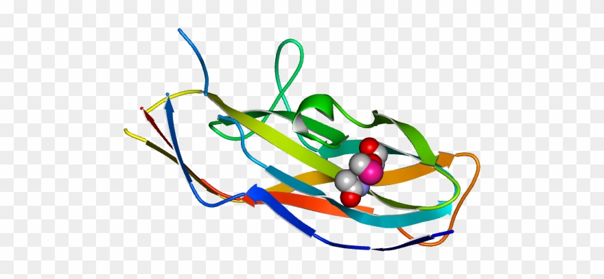 No Rotation Molmil Generated Image Of 1o9v Clipart