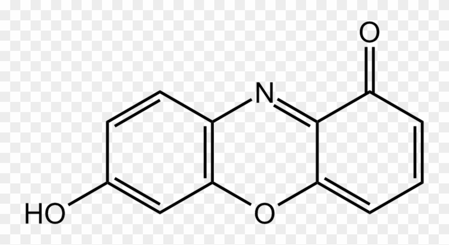 File - 7-hydroxyphenoxazone - L Tyrosine Methyl Ester Hydrochloride Clipart