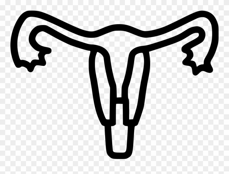 Uterus Human Body Part Medical Tube Uterine Comments - Obstetrician-gynecologist Clipart