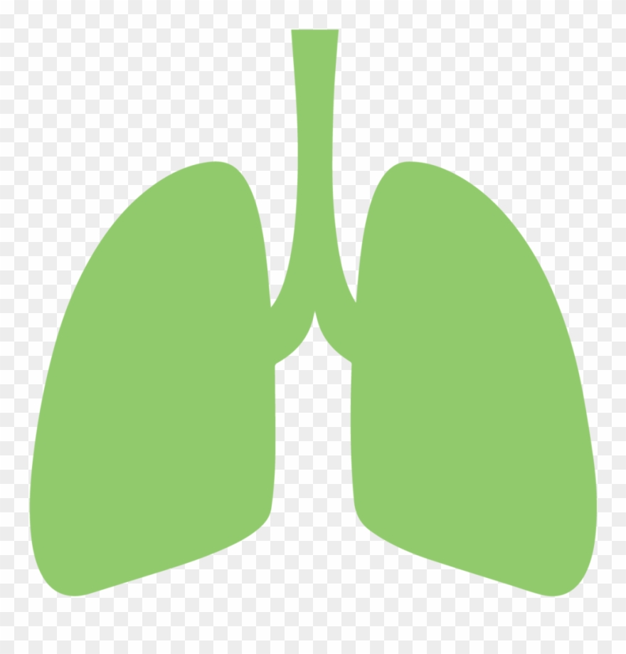 Respiratory/lung Issues - Lung Clipart