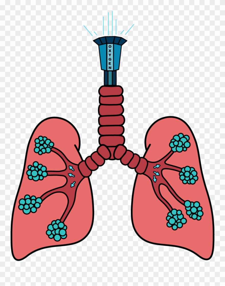 Drop Tower Lung Ride To Go Along With The Theme Park - Lung Clipart