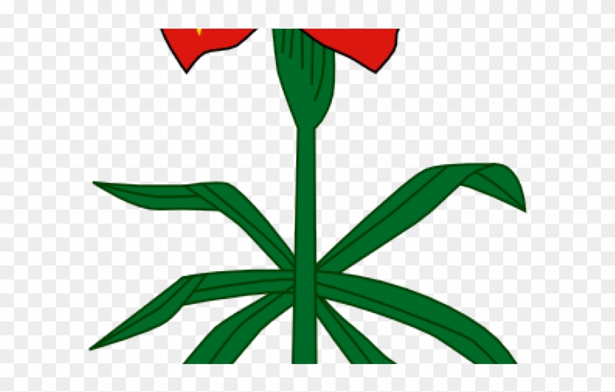 Lily Clipart Vector - Png Download