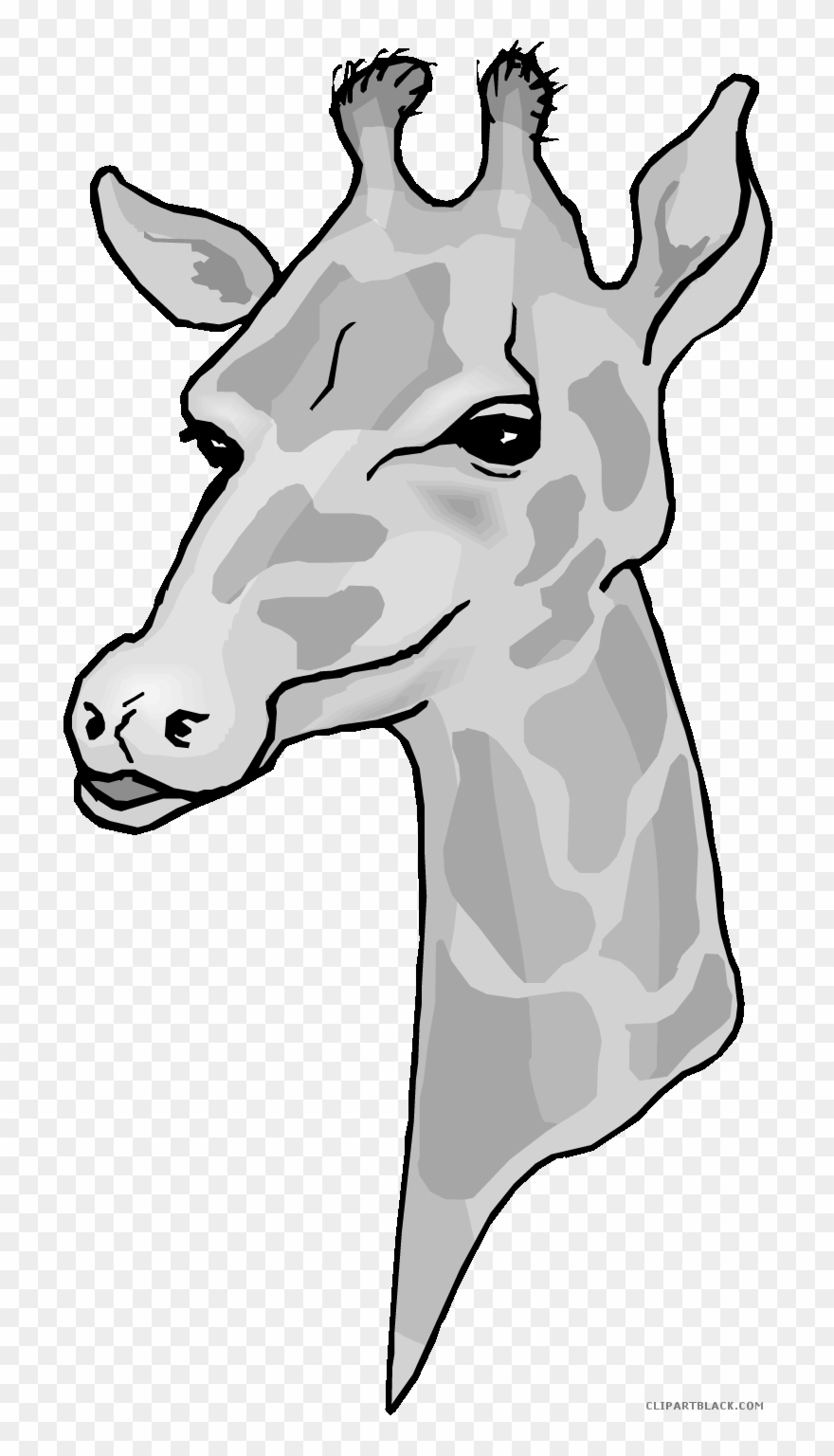 Giraffe Head Clipart - Clip Art - Png Download