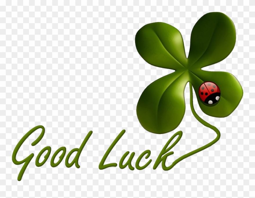 Download Nothing But Good Luck - Koniczynka Szczęścia Clipart (#2026205