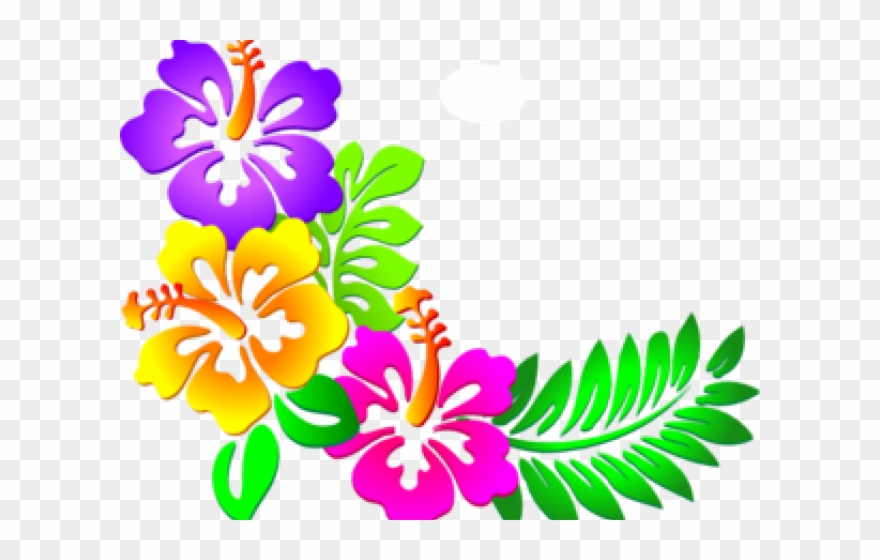 Hibiscus Clipart Design - Corner Flower Border Designs Png Transparent Png
