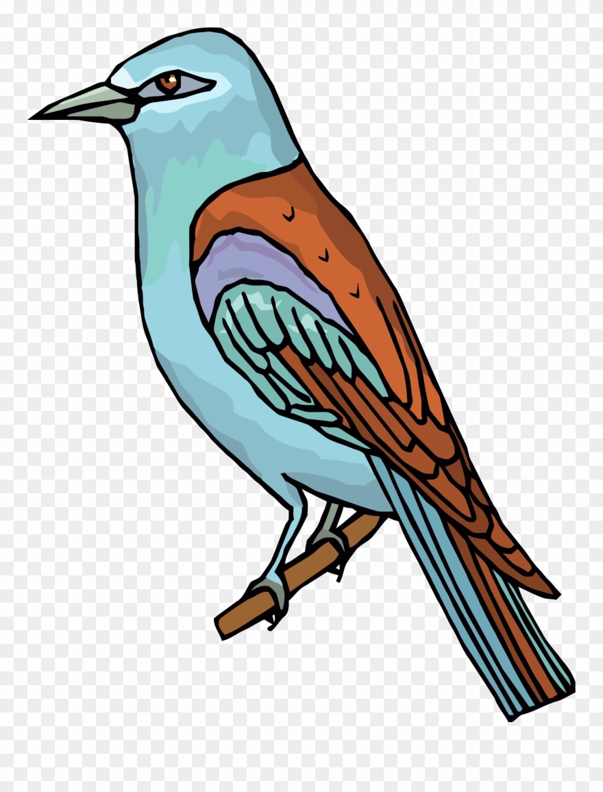 Waiting Bird Clipart Png - Clip Art Picture Of Bird Transparent Png