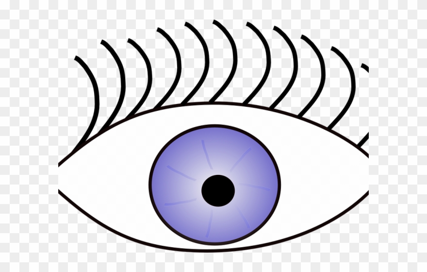 Eye Clipart Sense - Sense Of Sight Png Transparent Png