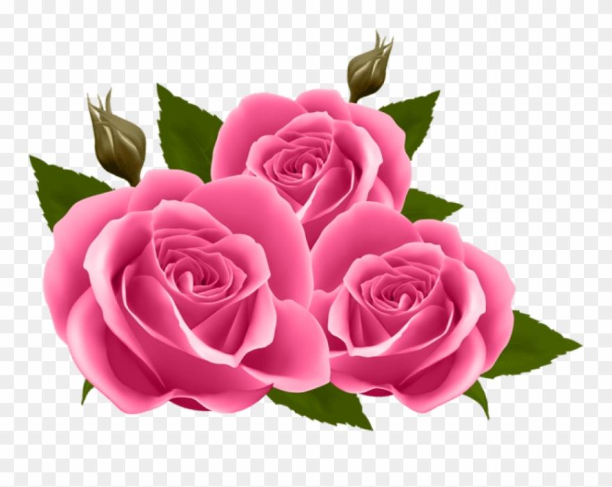 Free Png Pink Roses Png Images Transparent Clipart 2030364