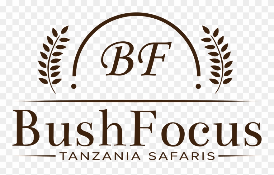 Bushfocus Bushfocus - Educandario Elite Clipart