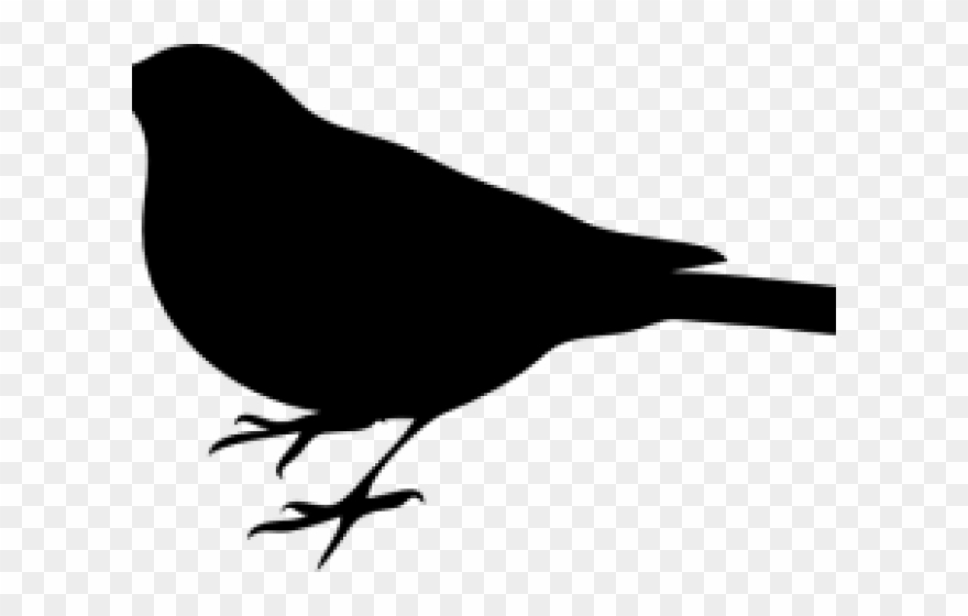 Mockingbird Clipart Texas Mockingbird - Kill A Mockingbird Transparent - Png Download