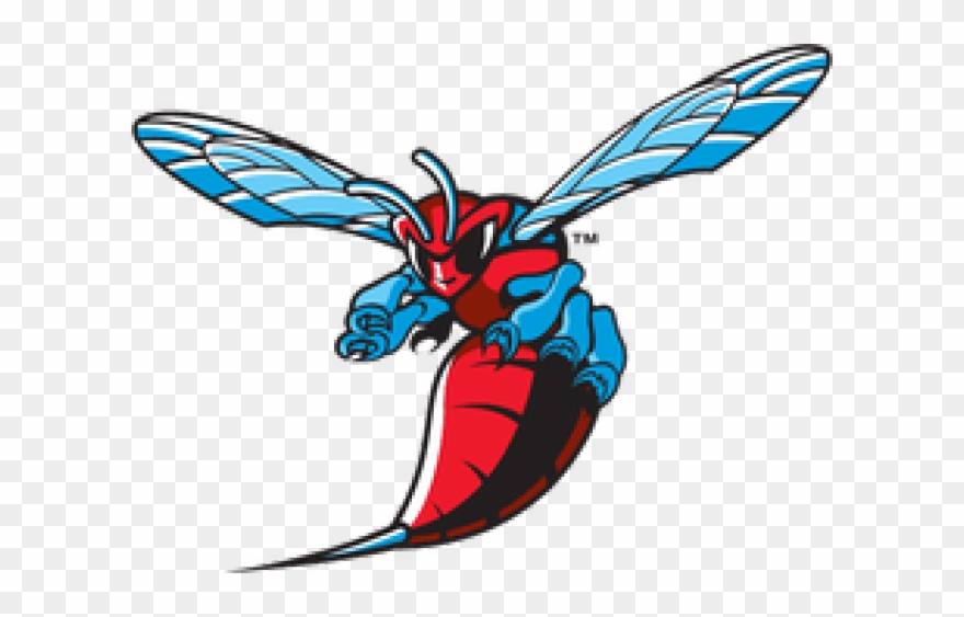 Adjeddwsfnemuuz - 20170907171231 - Delaware State University Hornets Logo Clipart