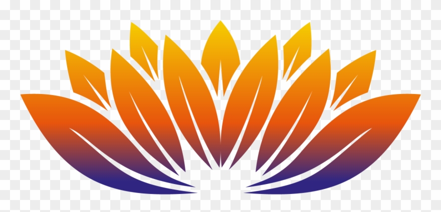 Mid Term Special Offer - Yarraville Yoga Centre Clipart