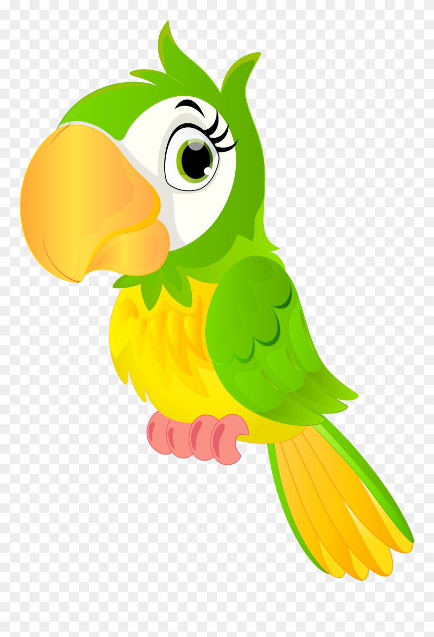Free Png Parrot Cartoon Png Images Transparent Clipart