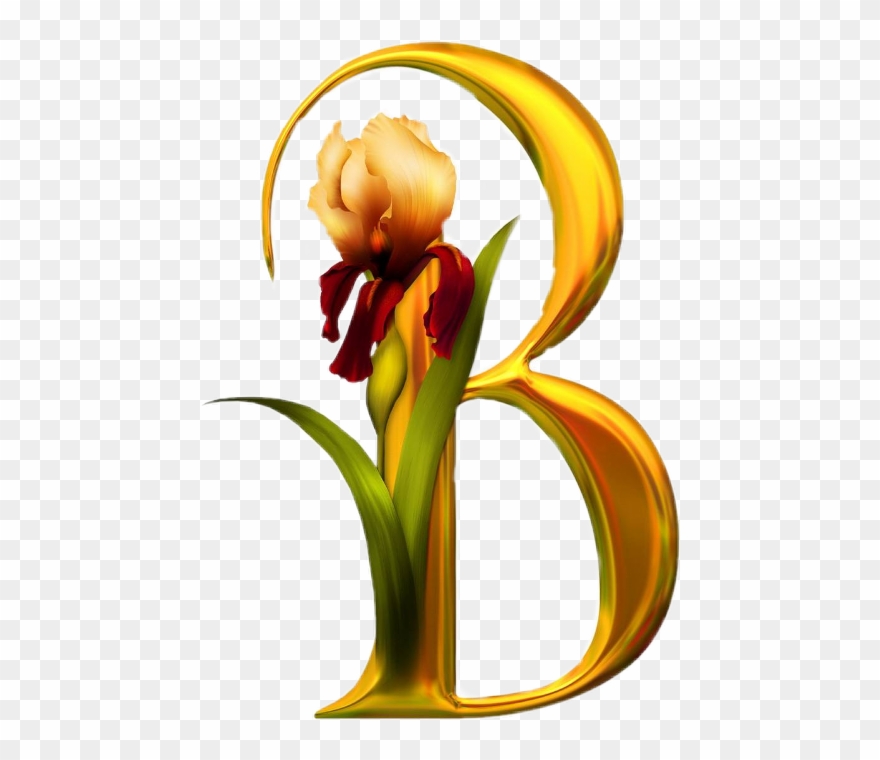 Beautiful Alphabets In Flowers Clipart