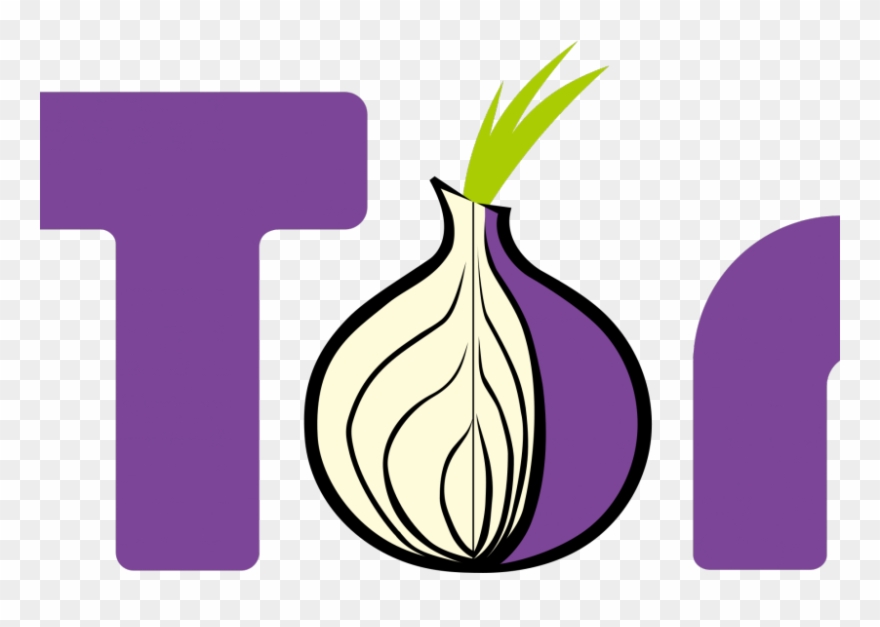 Zerodium Is Offering $1 Million For Tor Browser Exploits - Onion Torrent Clipart