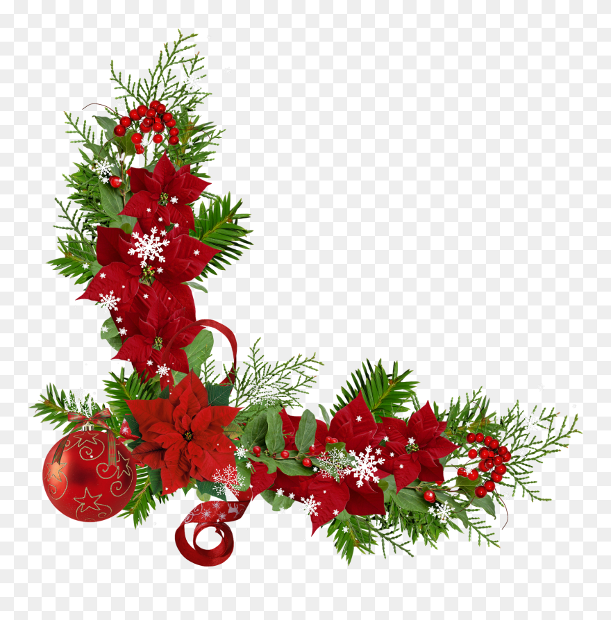 Bordures,coins,tubes Christmas Flowers, Christmas Graphics, - Christmas Rose Corner Border Clipart