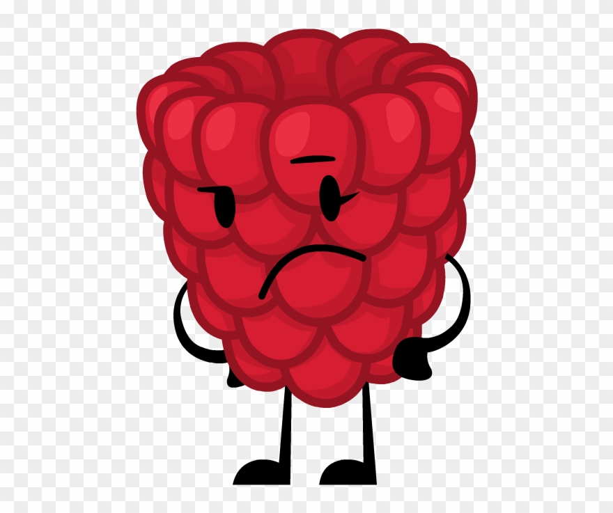 Raspberry Clipart