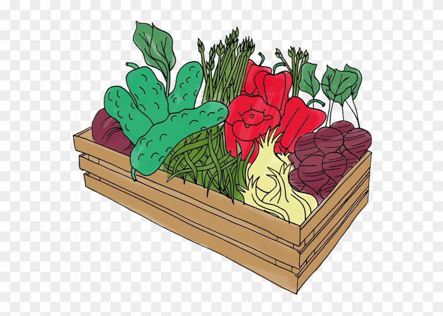 Step 1 - Rhubarb Clipart