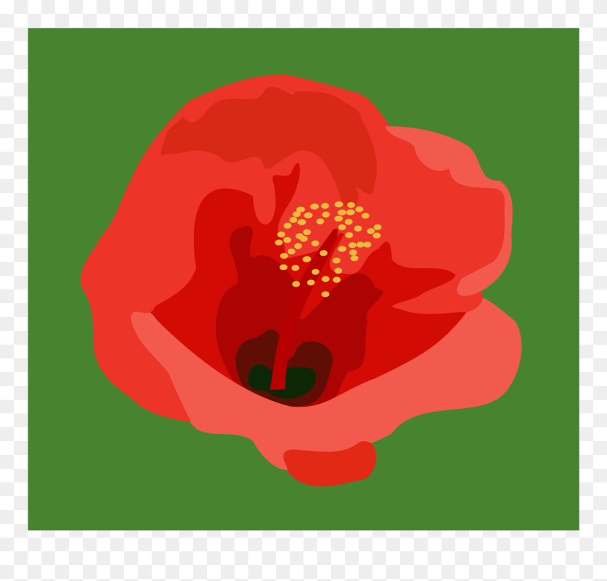 All Photo Png Clipart - Kembang Sepatu Png Transparent Png