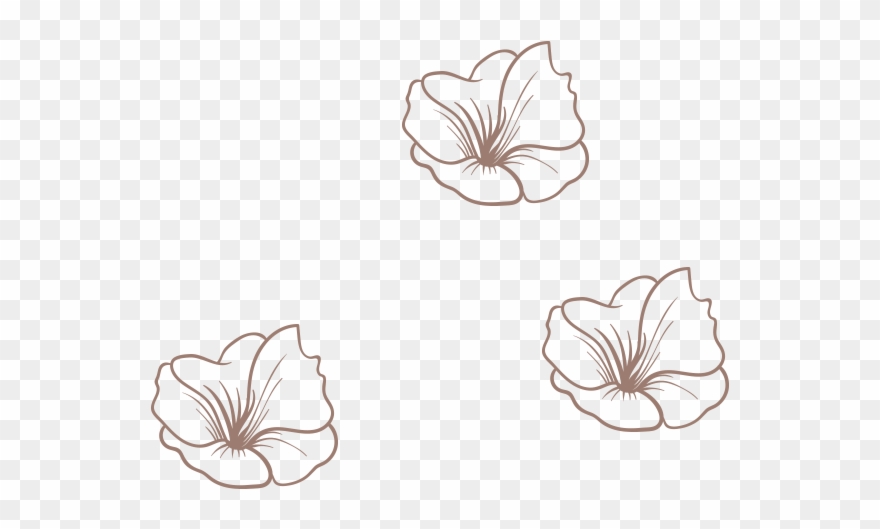 Our Definition Of Comfy-cute - Anthurium Clipart
