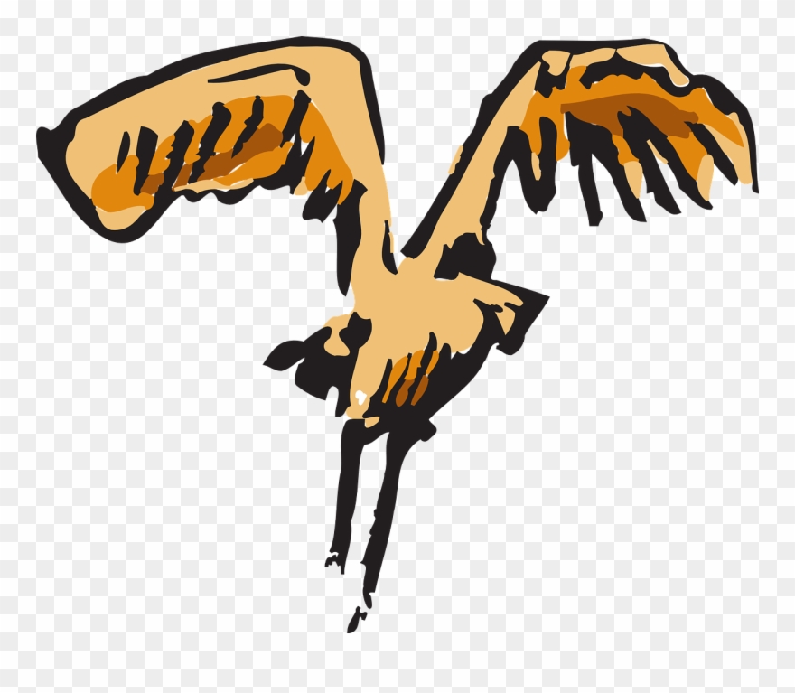 Bird Wings Landing Feathers Png Image - Bird Clipart