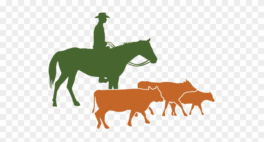 0 Replies 2 Retweets 4 Likes - Stallion Clipart