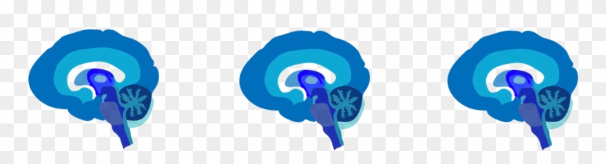 Columbia University Neuroscience Outreach - Late Night Science Clipart
