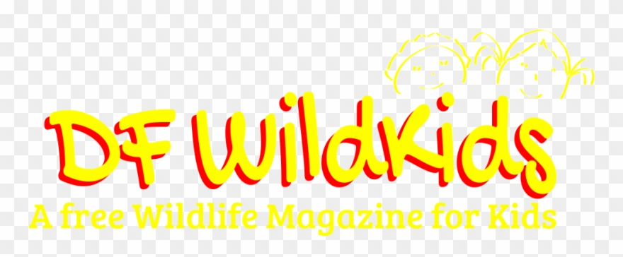 Df Wildkids Magazine October 2016 Video Edition - Eazydiner Clipart