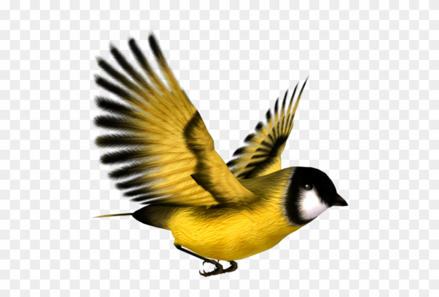 Tubes Oiseaux Papillons - Flying Goldfinch Clipart