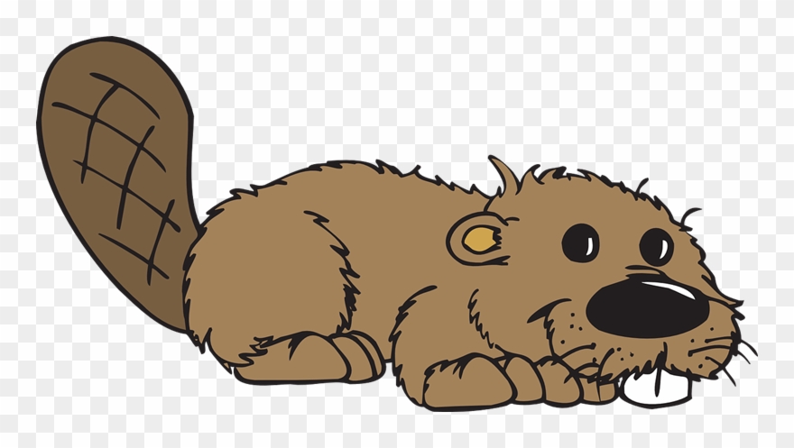Beaver Clipart Free - Sign Of The Beaver Gif - Png Download