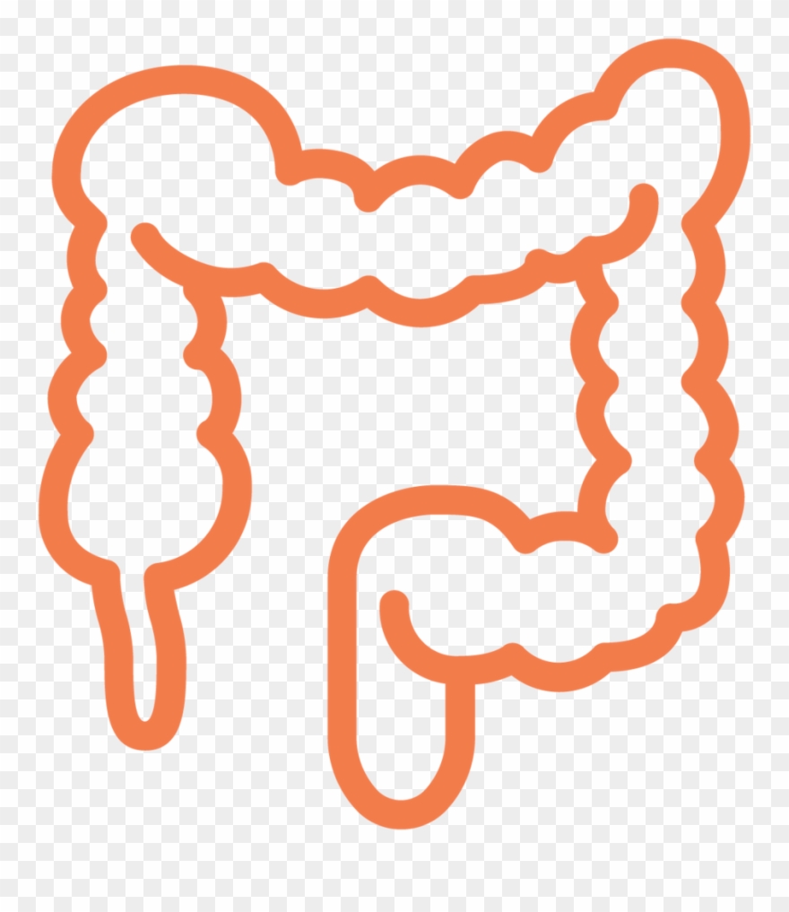 Colon Ecm Cell Culture Substrates - Crohn's Disease Clipart