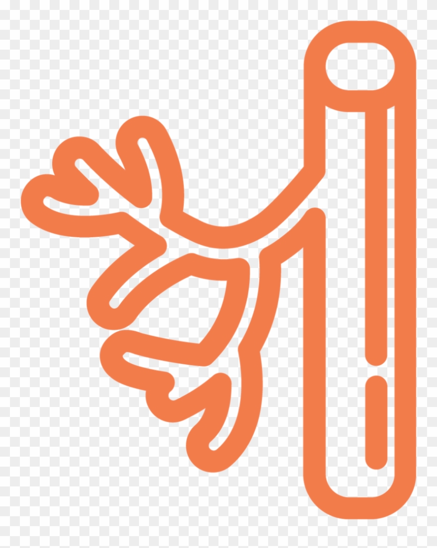 Blood Vessel Ecm Cell Culture Substrates - Vascular Surgery Clipart