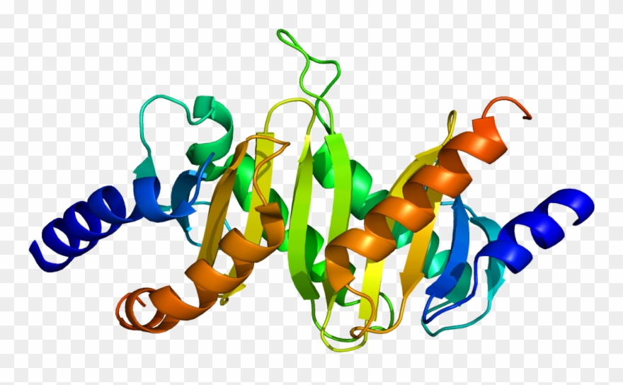 Recombinant Proteins Clipart