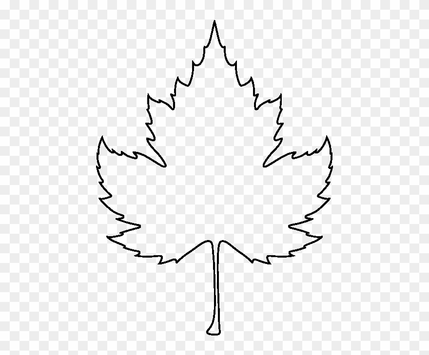 Sycamore Leaf Pattern - Coloring Book Clipart