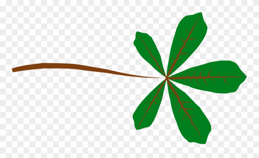 This Free Clip Arts Design Of Palmate Leaf - Png Download