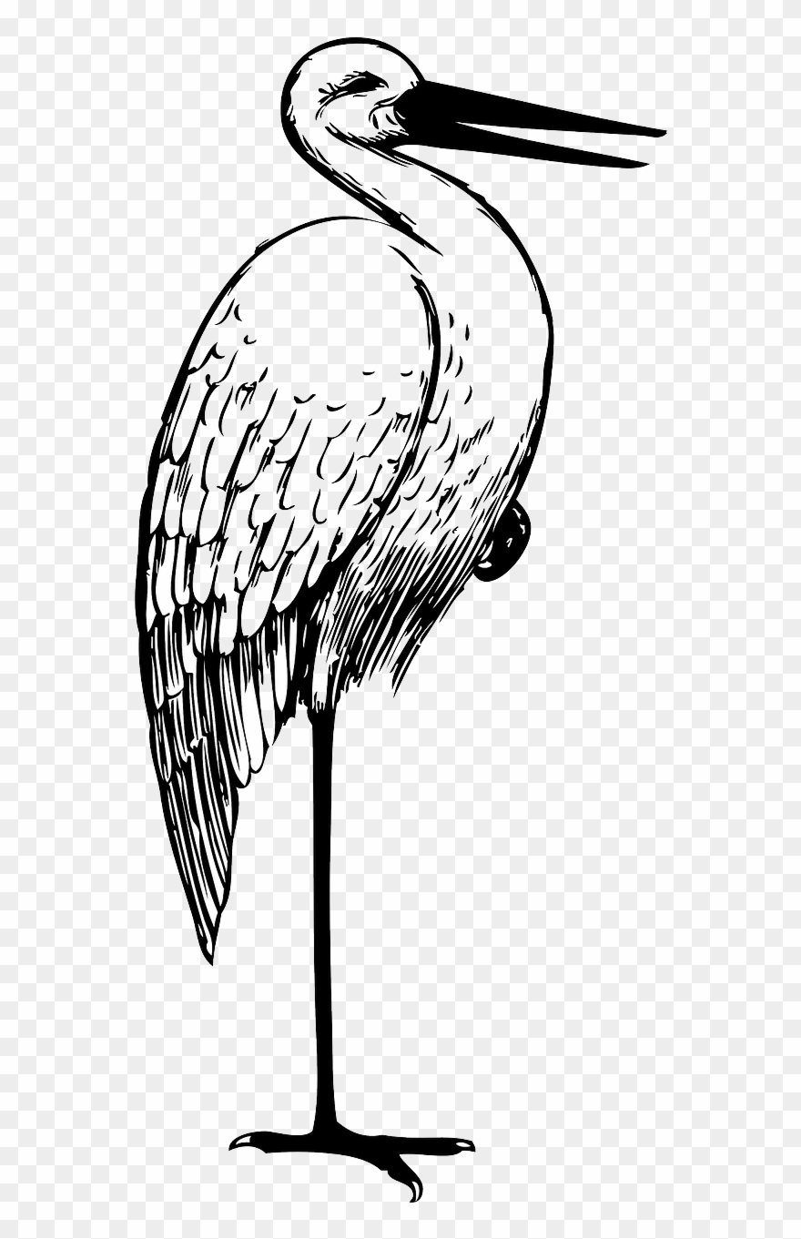 Stork Clipart Black And White - Png Download