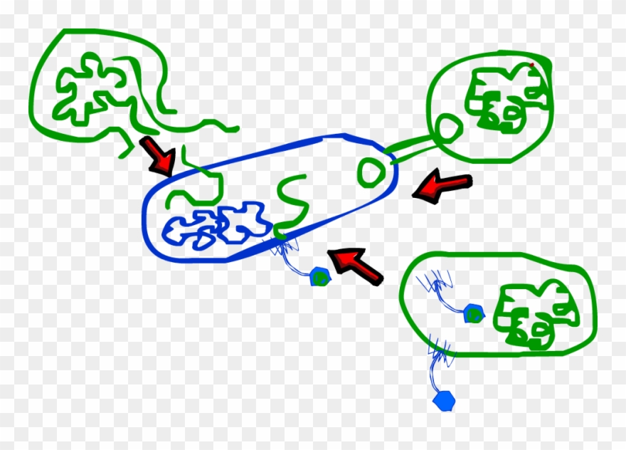 Diabetes Clipart Insulin Vial - Alef - Png Download