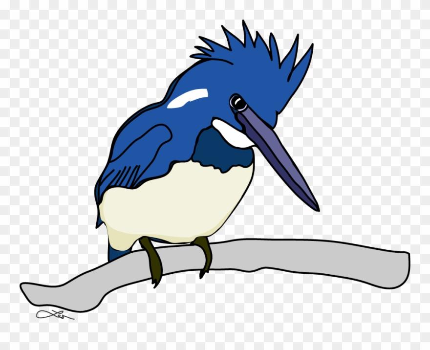 The Belted Kingfisher Keeps Me Company All The While - Belted Kingfisher Clipart