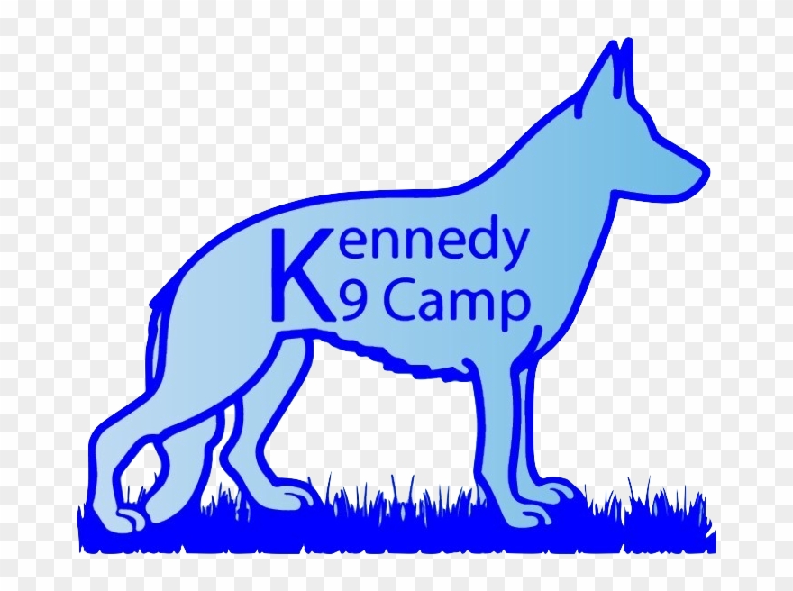 33f6d494 09d7 11e9 9c3f 0242ac110002 16ba8118 0352 - Kennedy K9 Camp Clipart