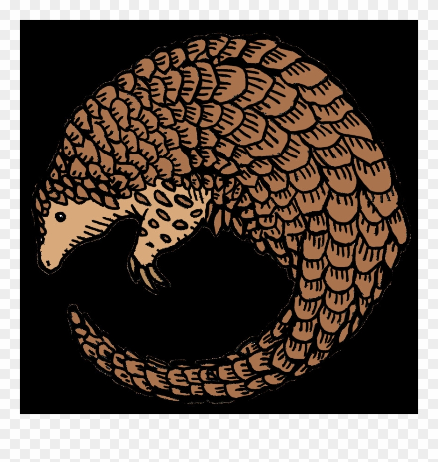 Pangolin Ii - Manis Clipart