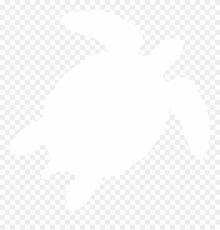 Donate Now To Help Us Spread The Word - Kemp's Ridley Sea Turtle Clipart