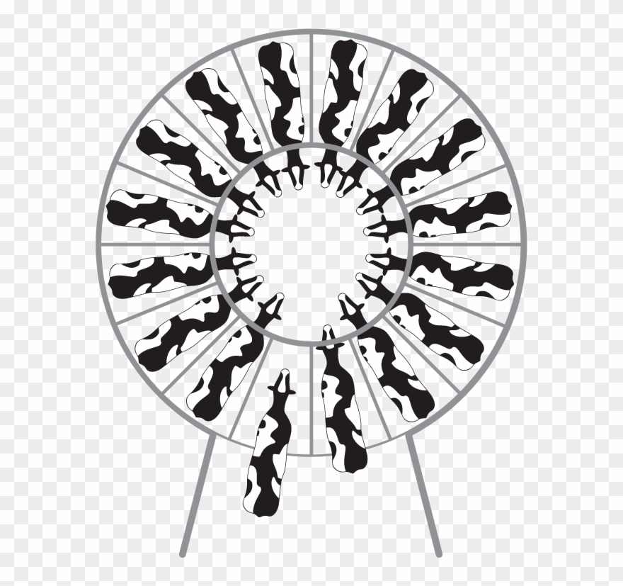 Svg Freeuse Drawing At Getdrawings Com Free For Personal - Circle Clipart