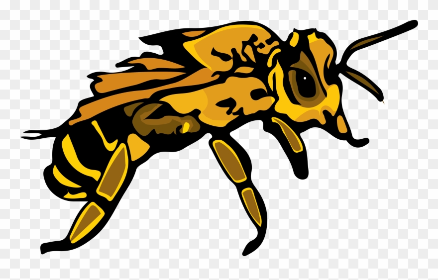Honeybee Clipart