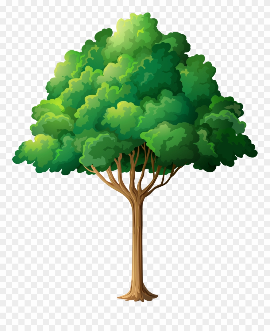 Tree Branch Clip Art - Moslem Family Tree - Png Download