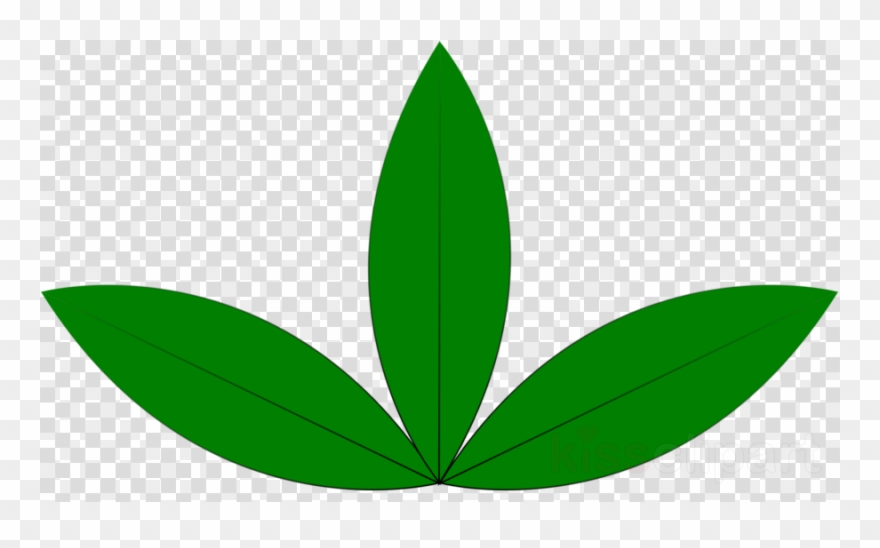 Three Green Leaves Clipart Leaf Clip Art - Butterfly Icon Transparent Background - Png Download