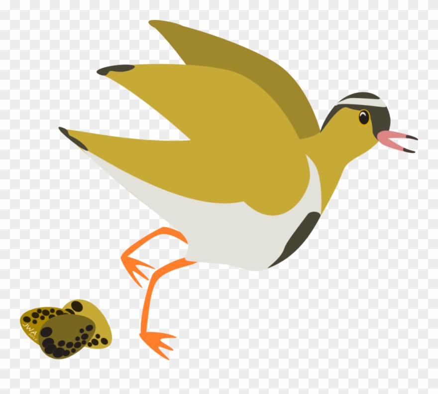 You Can Run Or You Can Hide - Duck Clipart