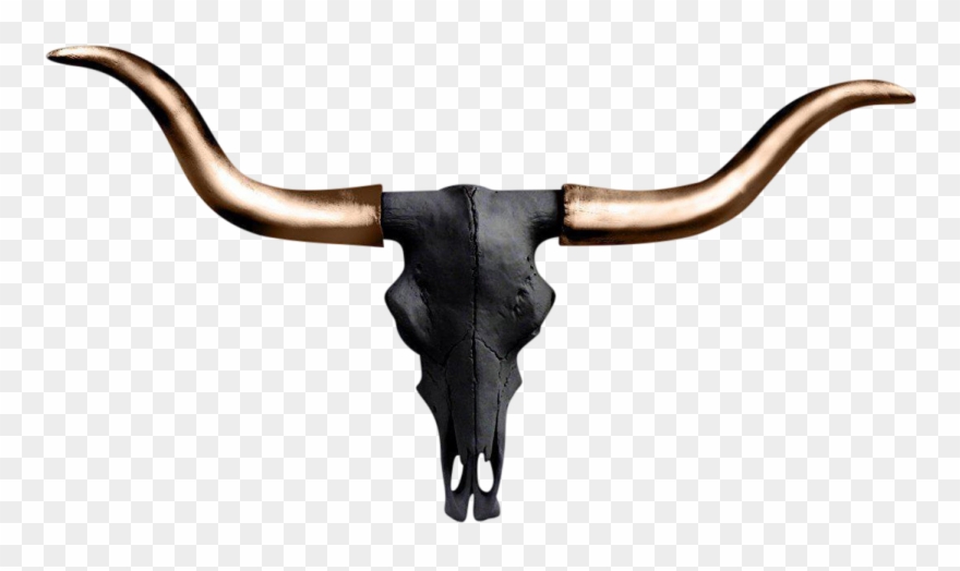Longhorn Skull Clipart