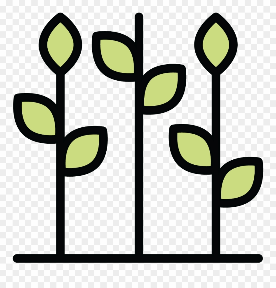 Produce Stand Clipart