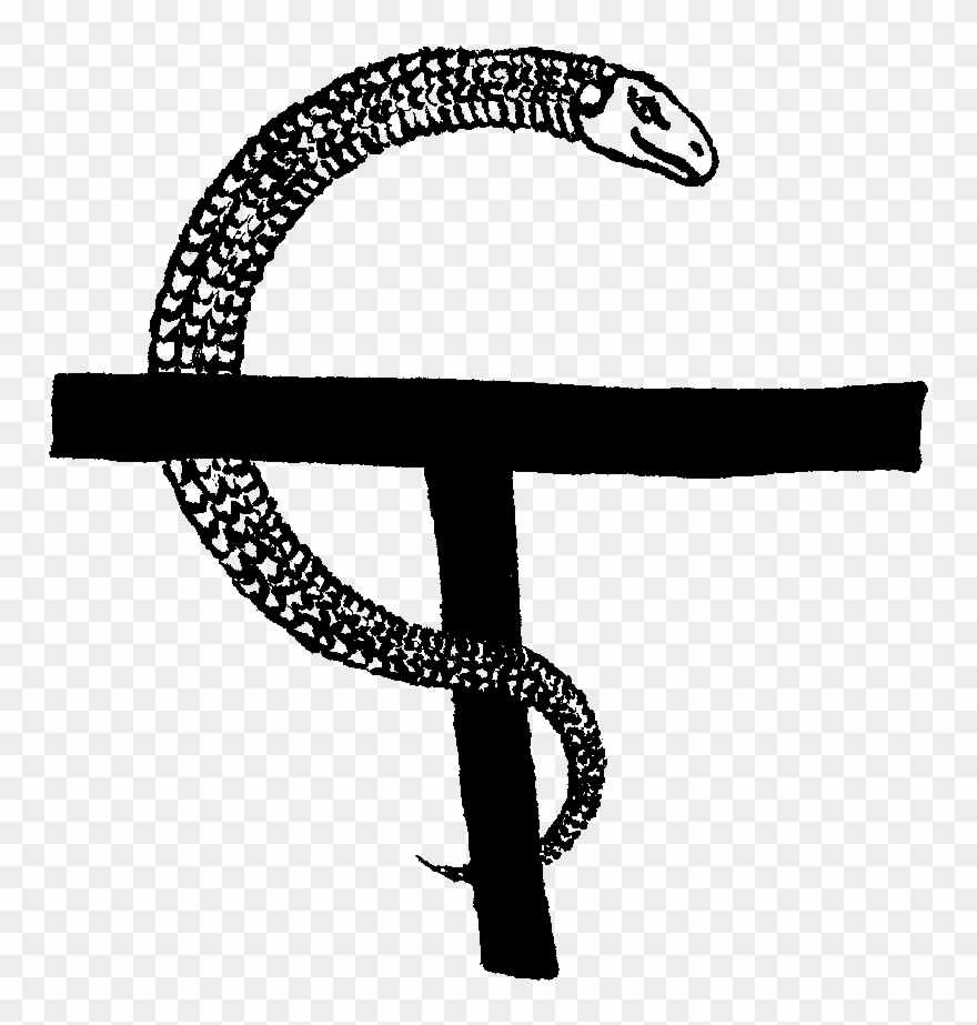 A Servant Of The Author - Author Clipart