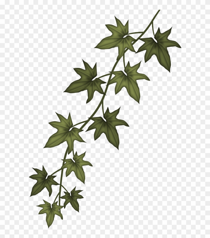 A Time To Remember Digital Scrapbooking Kit By Plant - Ivy Branch Clipart